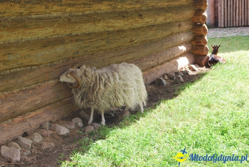 Osada Średniowieczna  Sławutowo  29.07.2017
