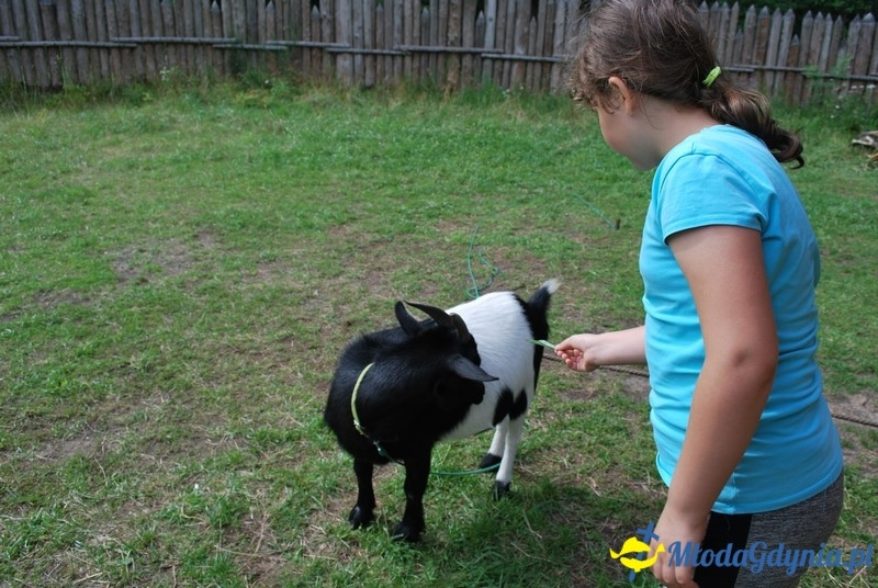 Osada Średniowieczna  Sławutowo  29.07.2017