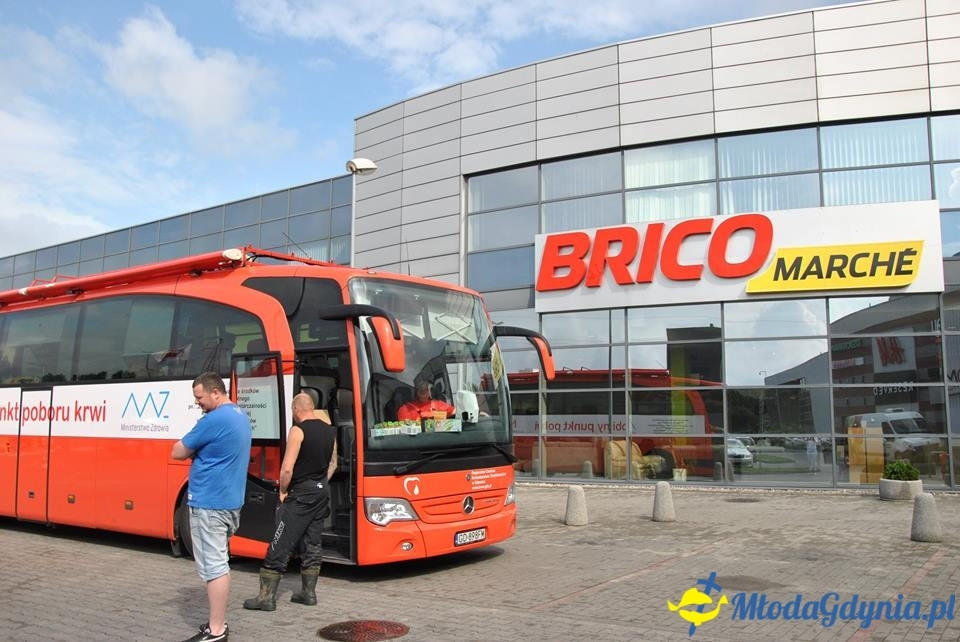 PCK - Zbieramy Krew dla Polski - Brico Marche