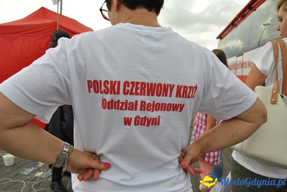 PCK - Zbieramy Krew dla Polski - Brico Marche
