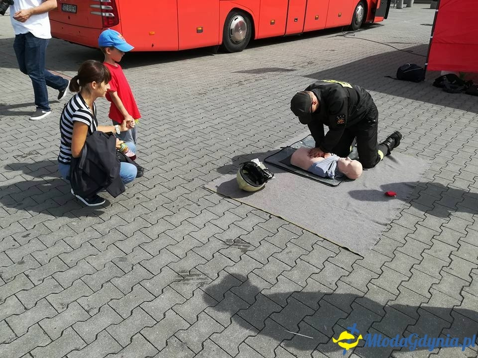 PCK - Zbieramy Krew dla Polski - Brico Marche