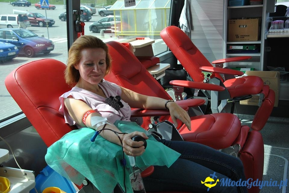 PCK - Zbieramy Krew dla Polski - Brico Marche