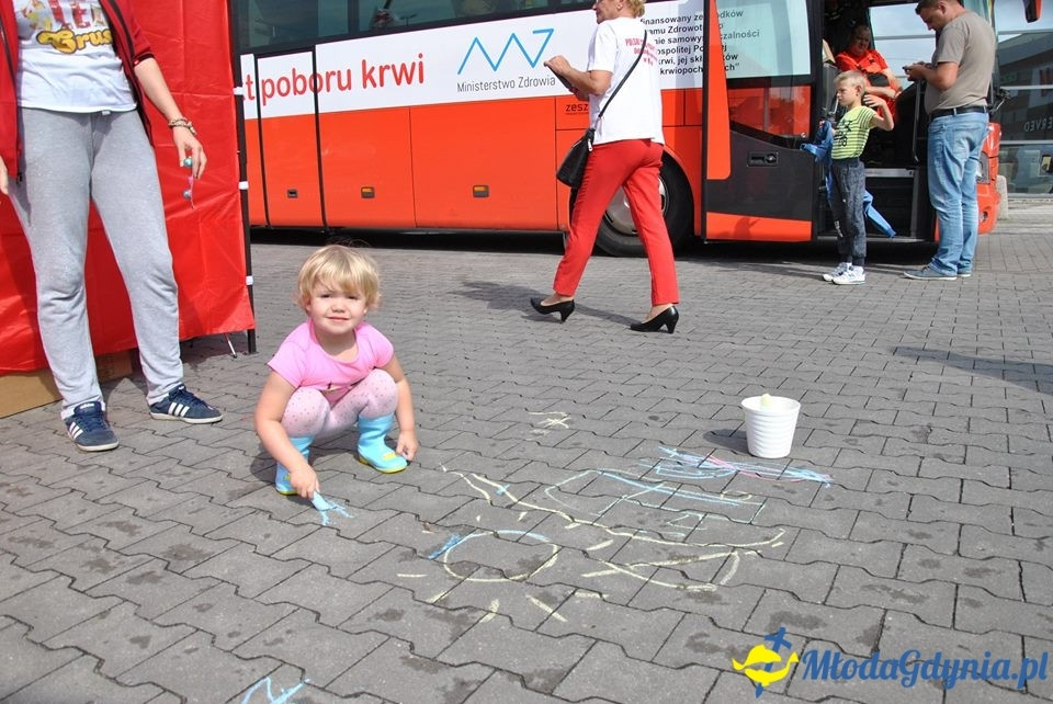 PCK - Zbieramy Krew dla Polski - Brico Marche