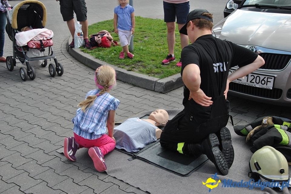 PCK - Zbieramy Krew dla Polski - Brico Marche