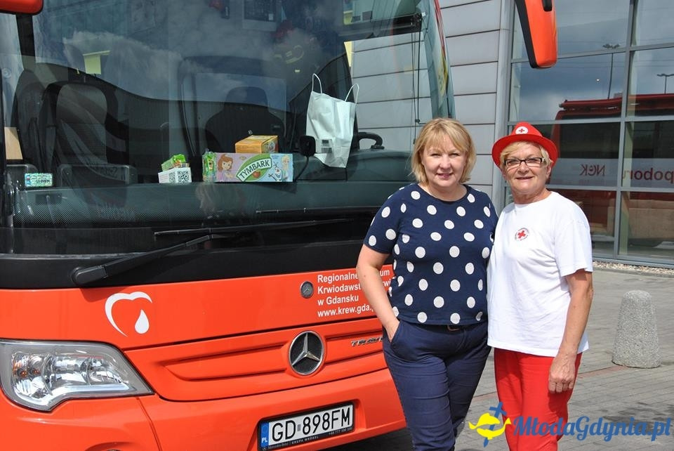 PCK - Zbieramy Krew dla Polski - Brico Marche