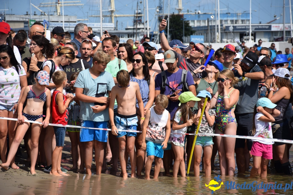 Ironman Gdynia - SPRINT i Sztafety