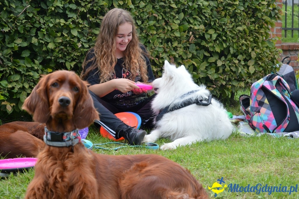 Latające Psy Gdynia 2017