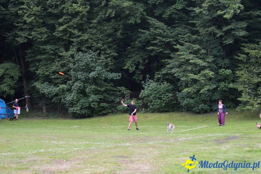 Latające Psy Gdynia 2017