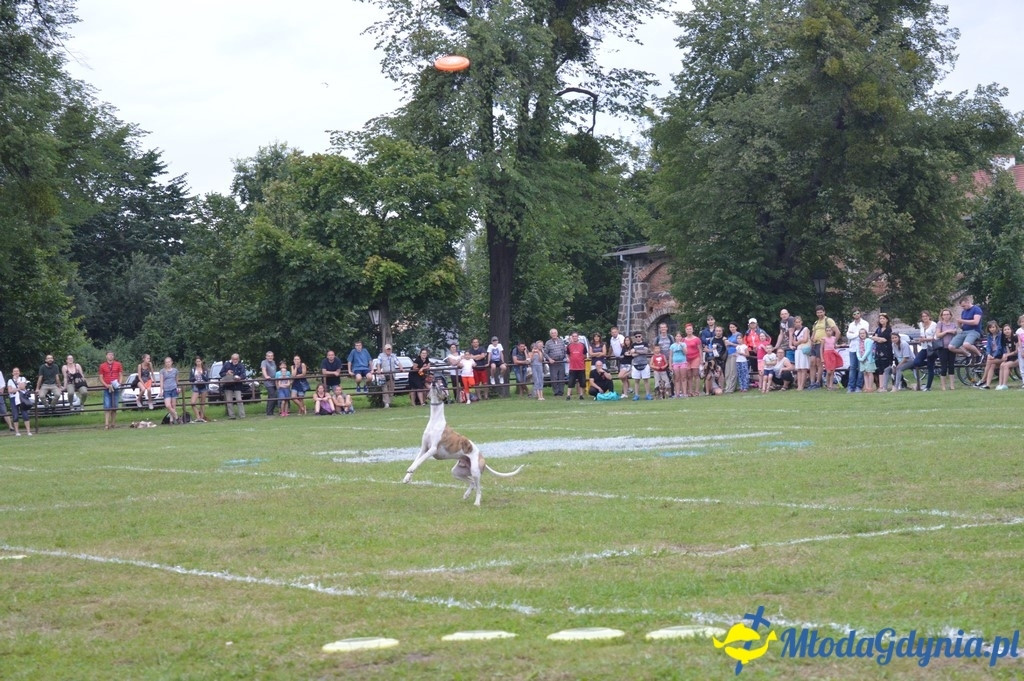 Latające Psy Gdynia 2017