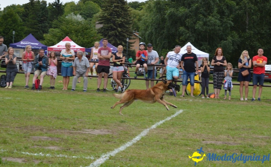 Latające Psy Gdynia 2017