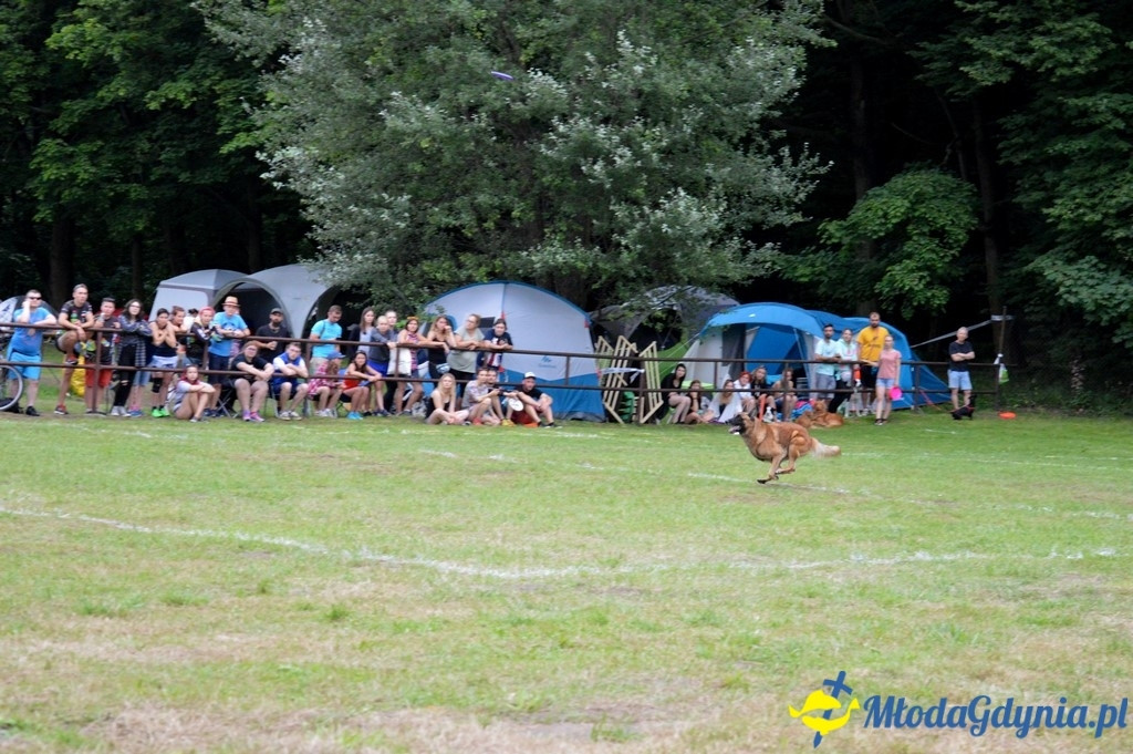 Latające Psy Gdynia 2017
