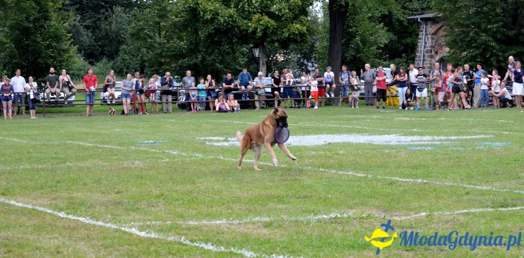 Latające Psy Gdynia 2017