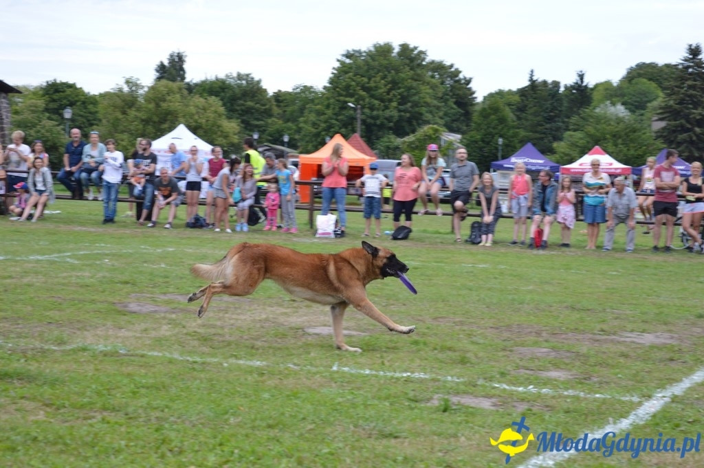 Latające Psy Gdynia 2017