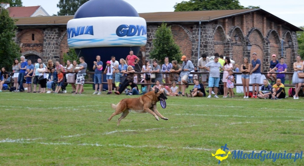 Latające Psy Gdynia 2017