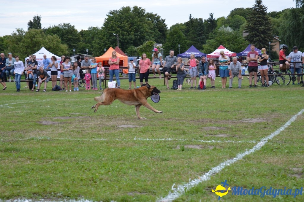 Latające Psy Gdynia 2017