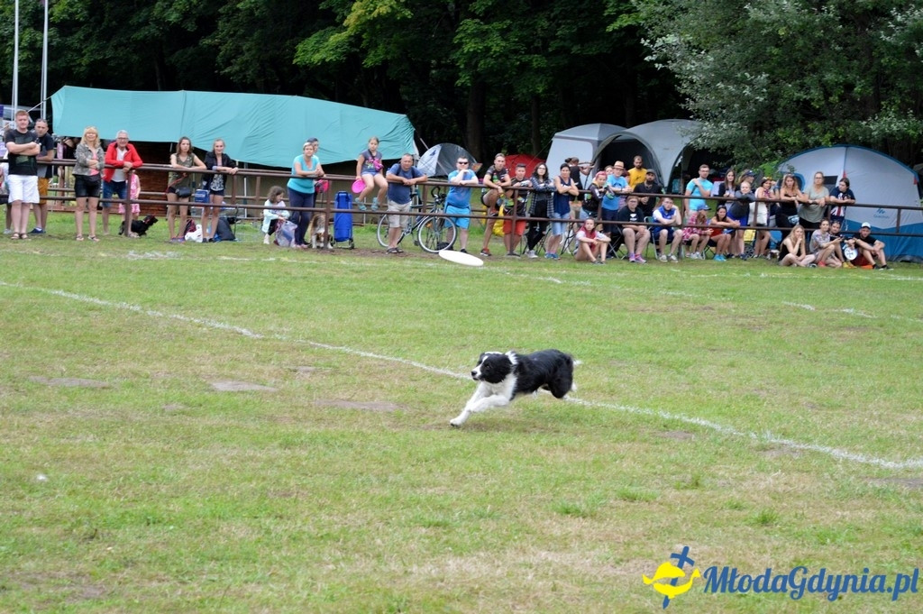Latające Psy Gdynia 2017