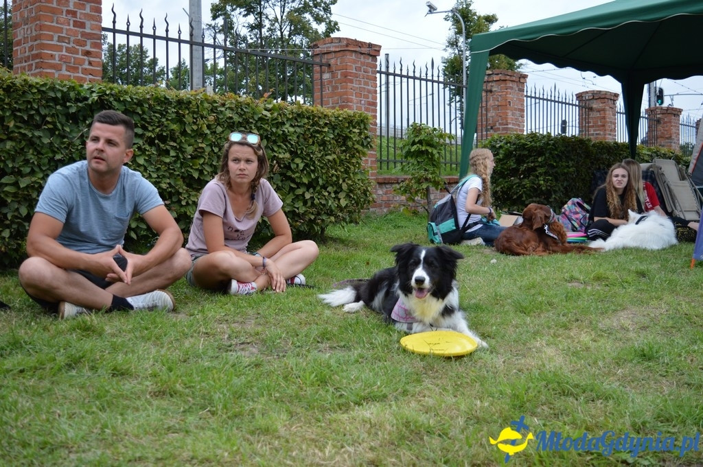 Latające Psy Gdynia 2017