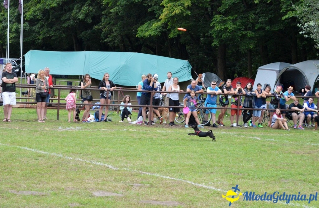 Latające Psy Gdynia 2017