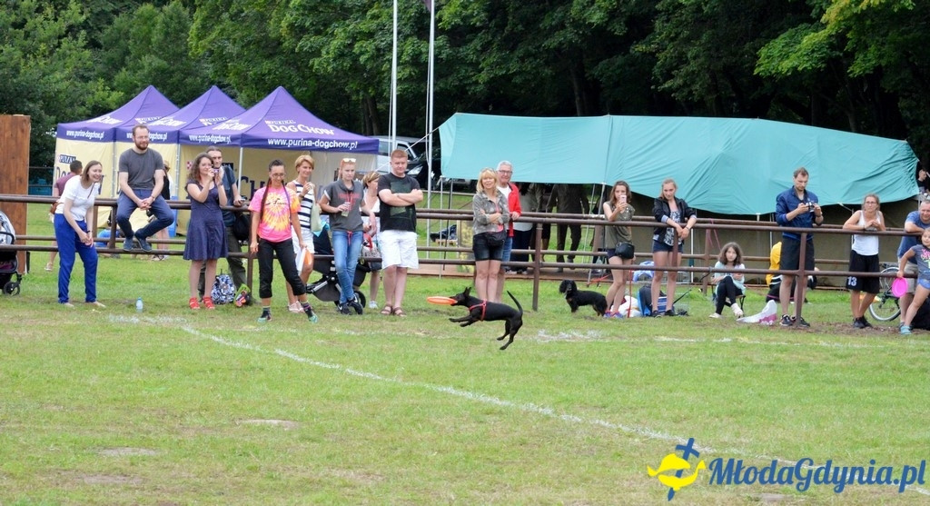 Latające Psy Gdynia 2017