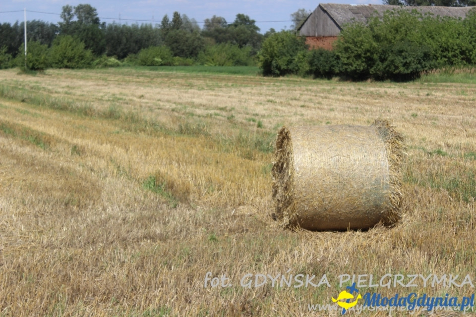 XXXII Gdyńska PIESZA Pielgrzymka na Jasną Górę  - Dzień 11