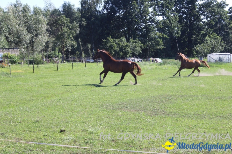 XXXII Gdyńska PIESZA Pielgrzymka na Jasną Górę  - Dzień 11