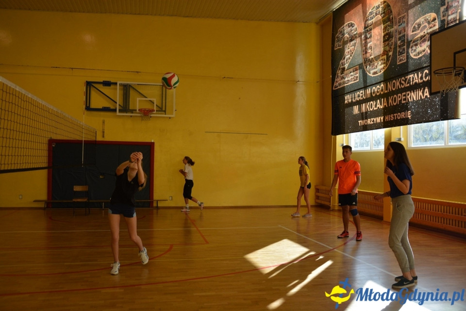 Mistrzostwa siatkówki XIV LO - 31.10.2017