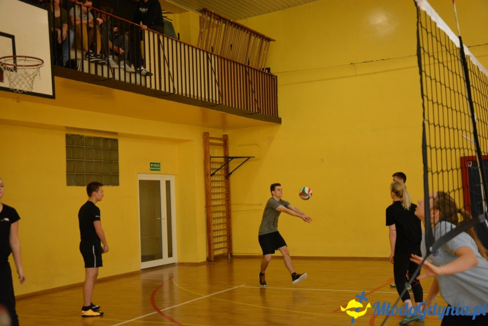 Mistrzostwa siatkówki XIV LO - 31.10.2017