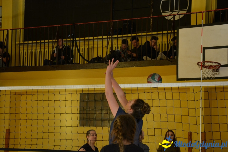 Mistrzostwa siatkówki XIV LO - 31.10.2017