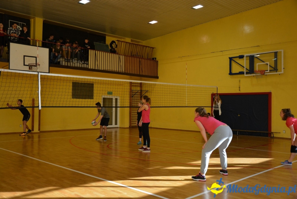 Mistrzostwa siatkówki XIV LO - 31.10.2017
