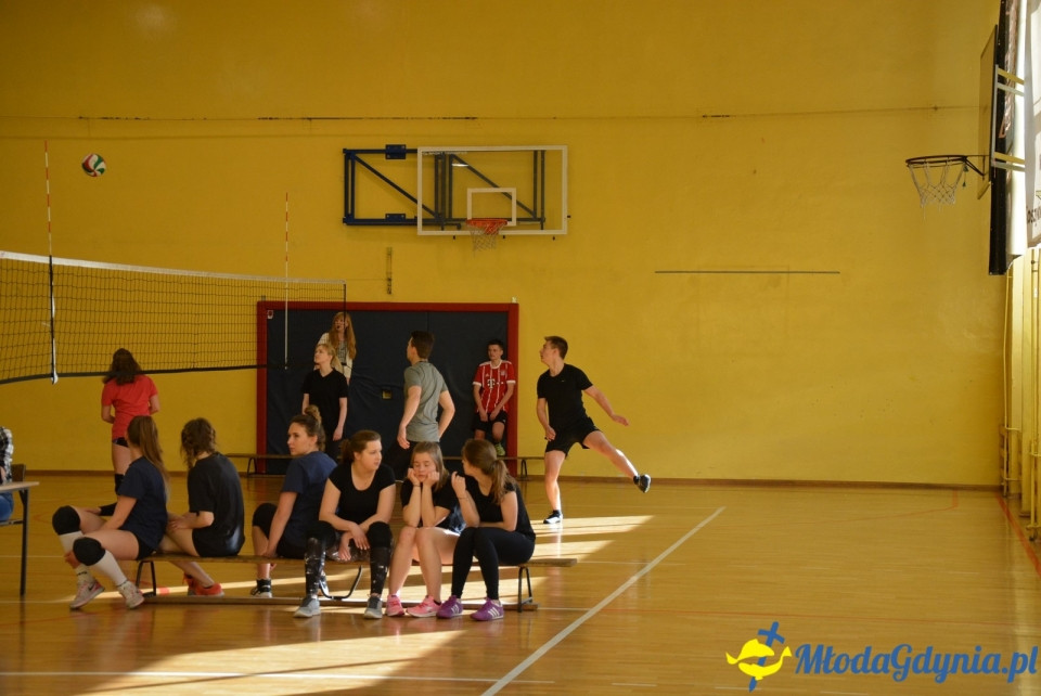 Mistrzostwa siatkówki XIV LO - 31.10.2017
