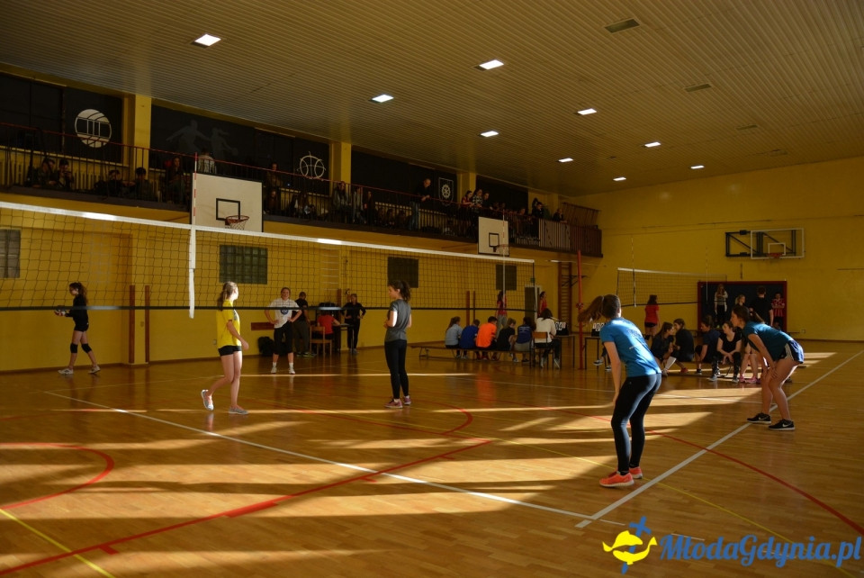 Mistrzostwa siatkówki XIV LO - 31.10.2017