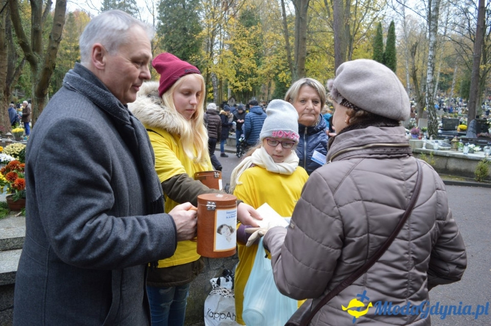 1 listopada 2017 - kwesta na rzecz Hospicjum : Cmentarz Marynarki Wojennej RP, Cmentarz Witomiński, Cmentarz komunalny