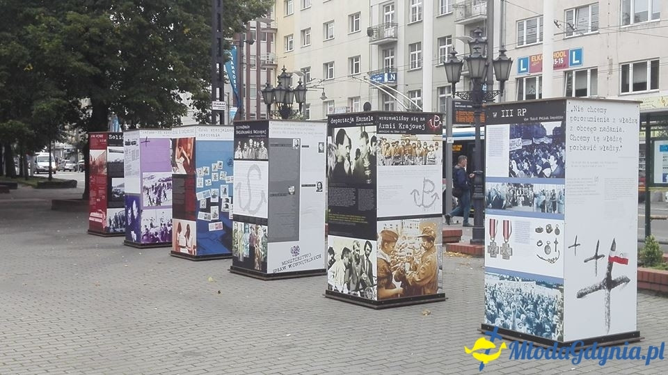 Poseł Małgorzata Zwiercan - październik 2017