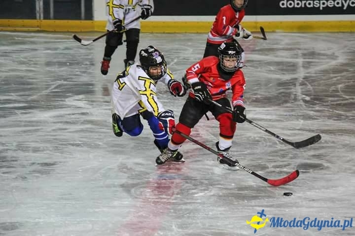 HUKS Niedźwiadki - mecz ligowy Żaka Młodszego w Elblągu 21.10.2017