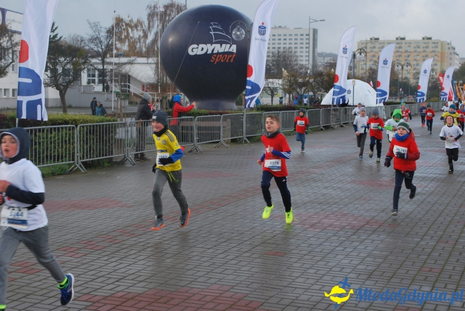 Bieg Niepodległości 2017 - Bieg Starszaków