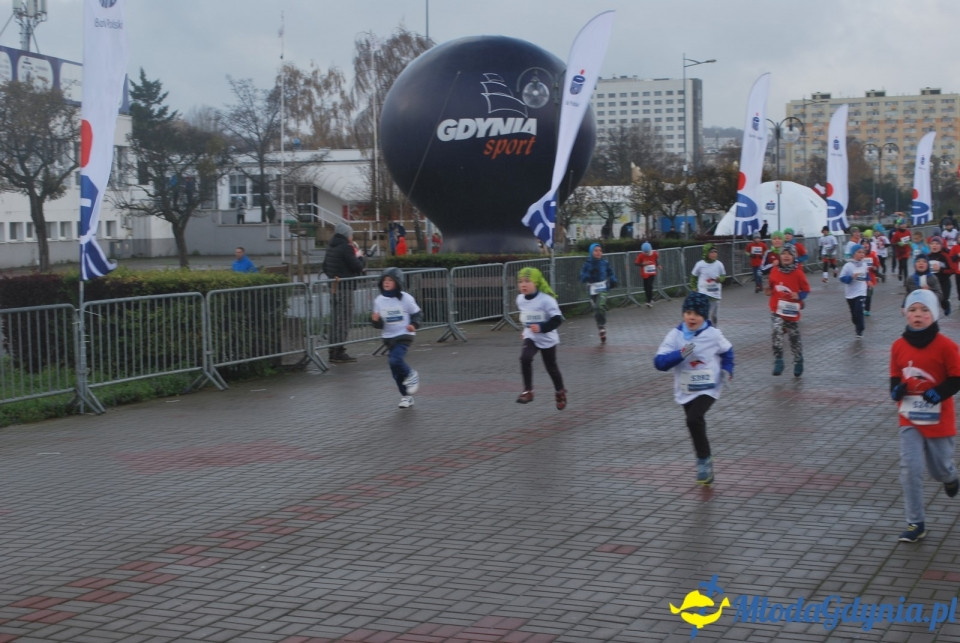 Bieg Niepodległości 2017 - Bieg Starszaków