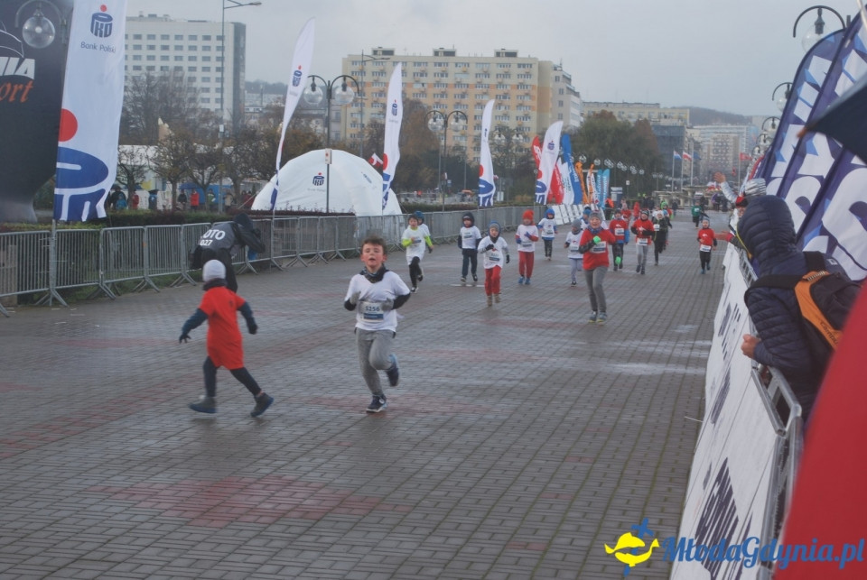 Bieg Niepodległości 2017 - Bieg Starszaków