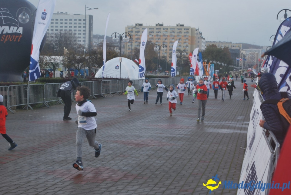 Bieg Niepodległości 2017 - Bieg Starszaków