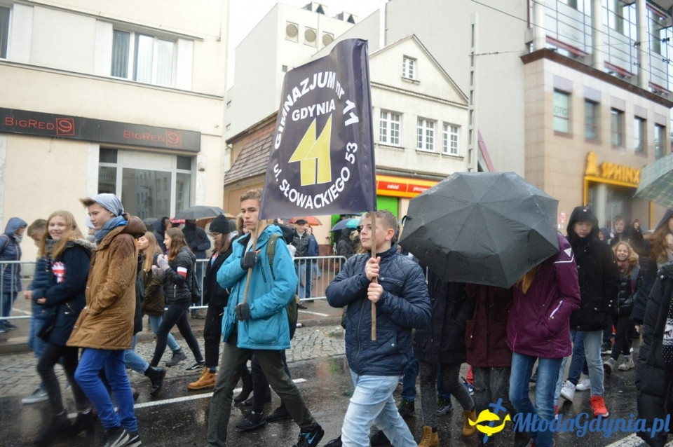 Parada Niepodległości - 2017