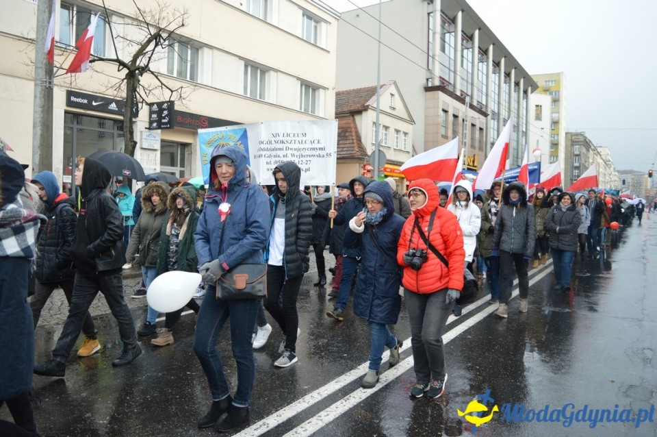 Parada Niepodległości - 2017