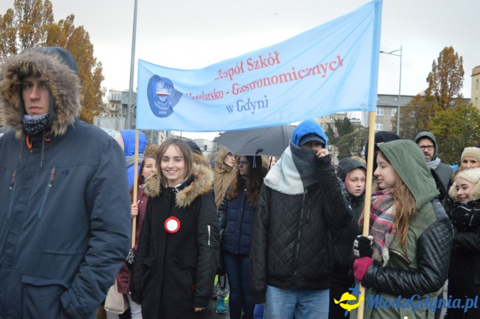 Parada Niepodległości - 2017