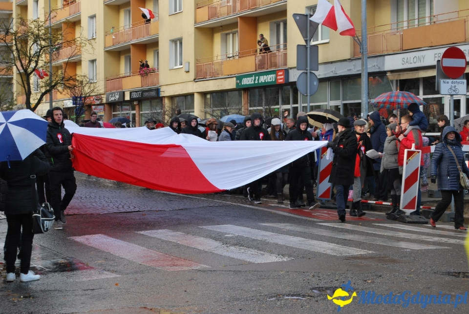 Parada Niepodległości 2017 (II)