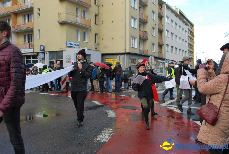 Parada Niepodległości 2017 (II)