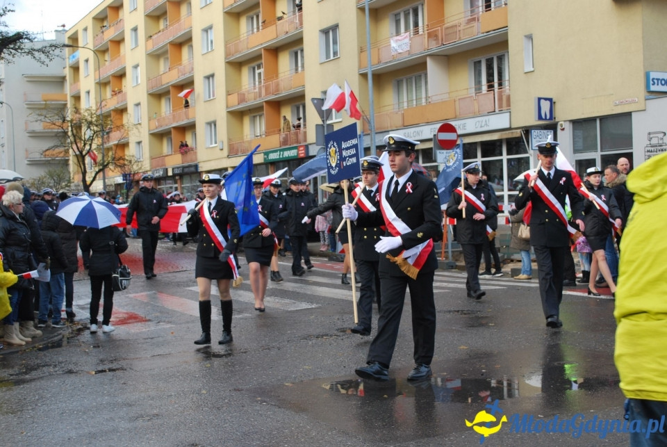 Parada Niepodległości 2017 (II)