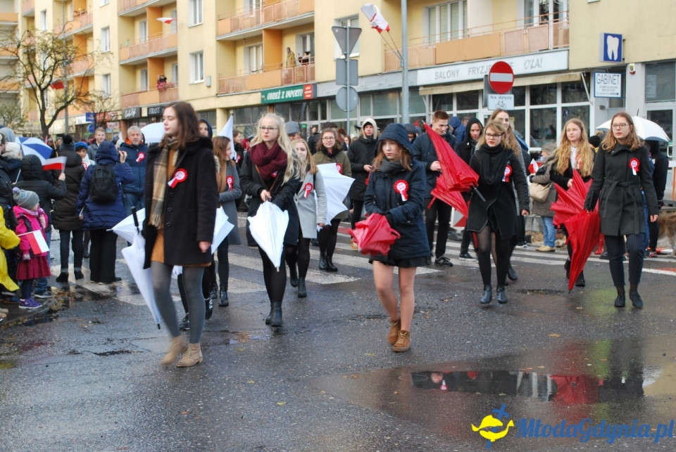 Parada Niepodległości 2017 (II)