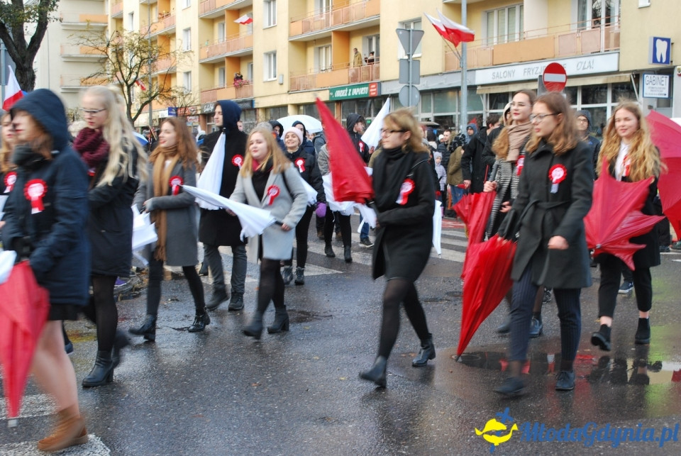 Parada Niepodległości 2017 (II)