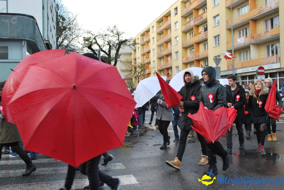 Parada Niepodległości 2017 (II)
