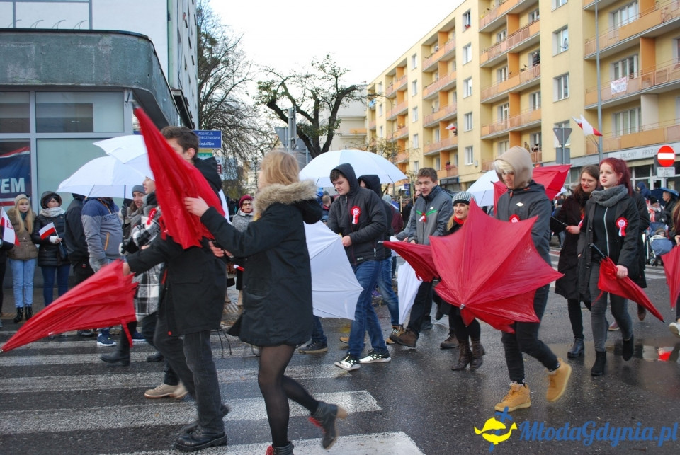 Parada Niepodległości 2017 (II)