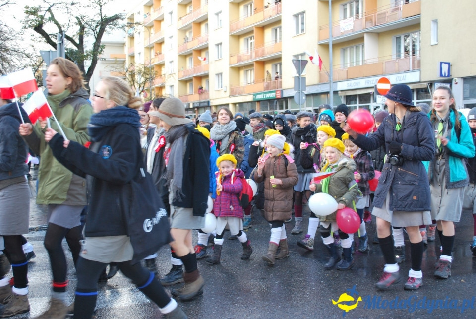 Parada Niepodległości 2017 (II)