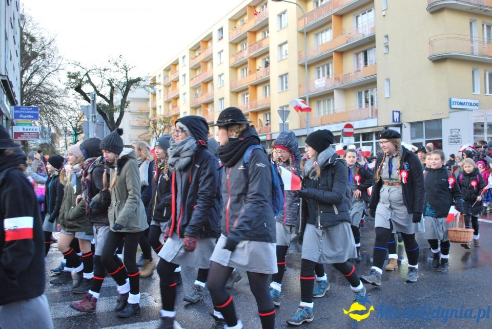 Parada Niepodległości 2017 (II)
